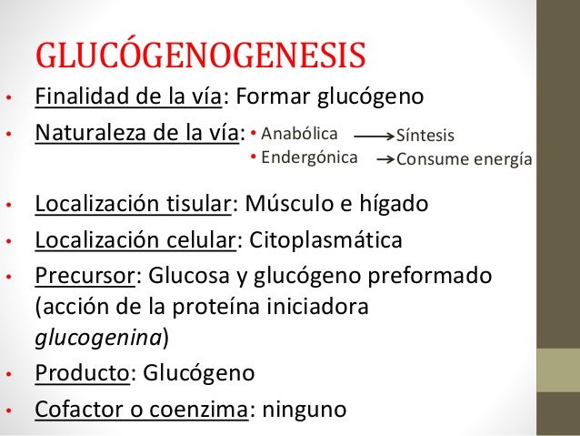 5.1 GLUCÓLISIS Y LA VÍA DEL ÁCIDO LÁCTICO